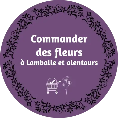 Mandragore Fleuriste